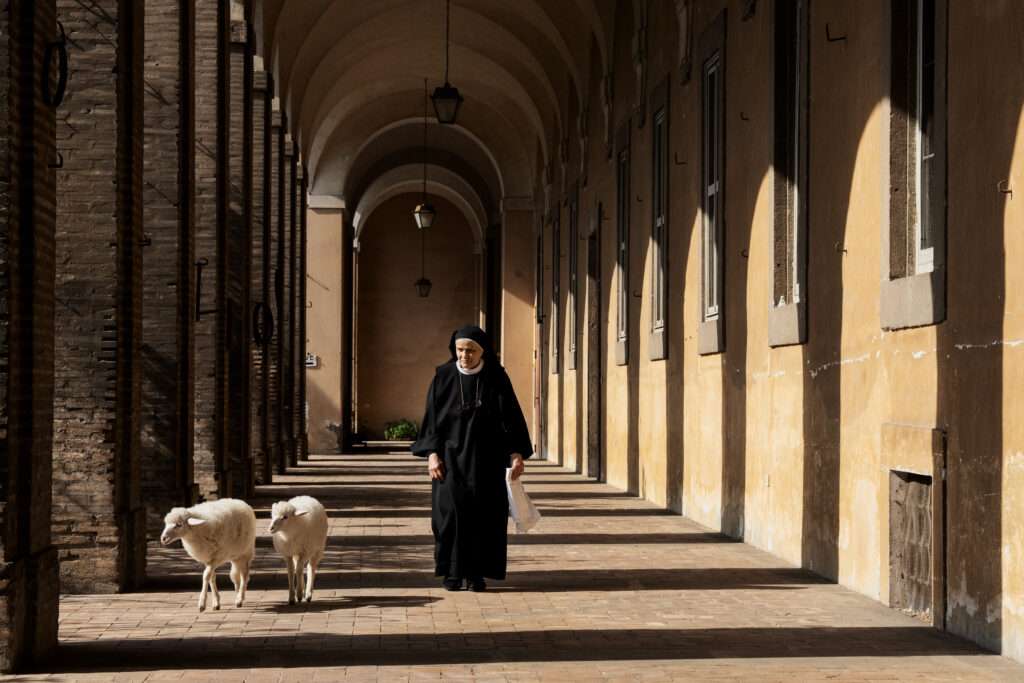 Agnus Dei di Massimiliano Camaiti, 2025, Venezia 82